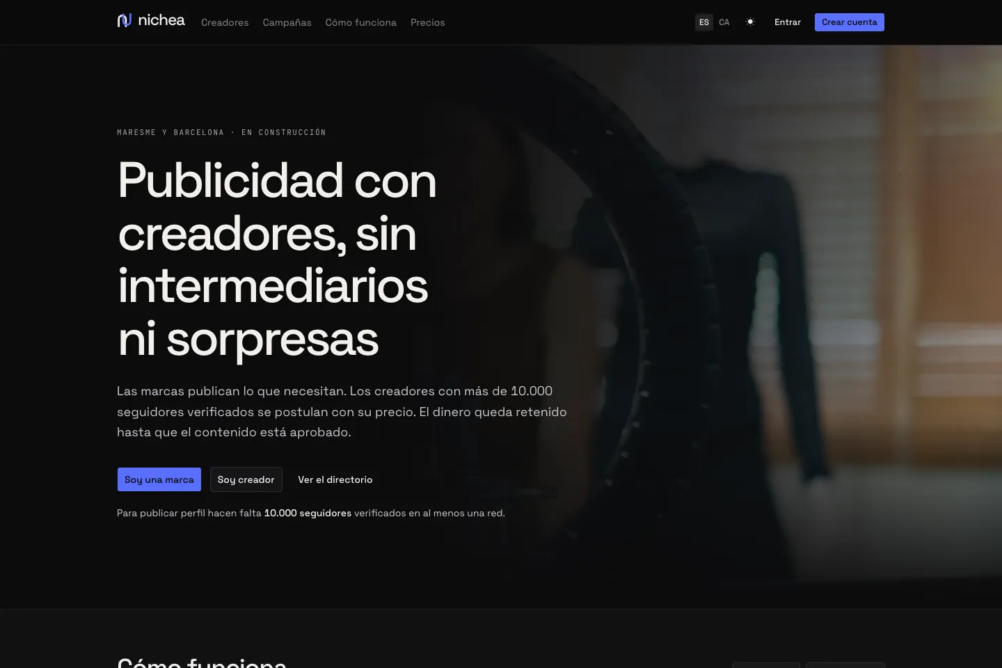 Portada de la web de Nichea, desarrollada por Creaar