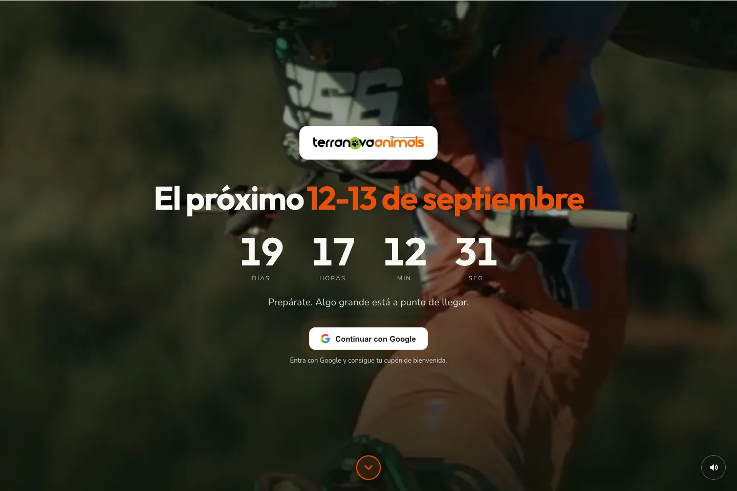 Portada de la web de Terranova Animals Club, desarrollada por Creaar