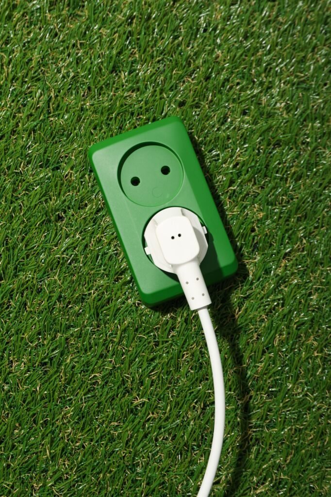 Electric socket with cable on the grass