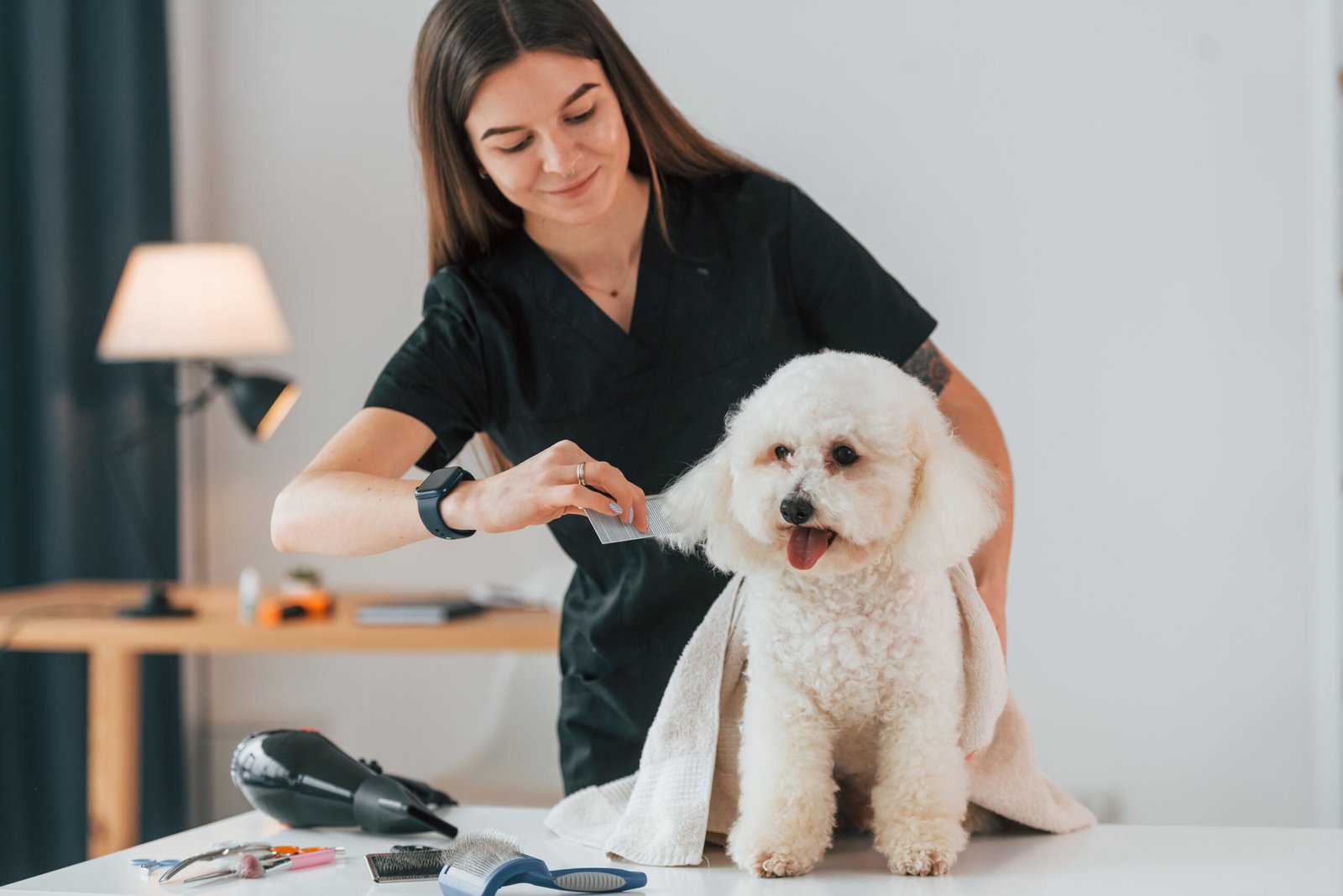 Perro en estudio de grooming, ideal para una web profesional de peluquería canina en Mataró